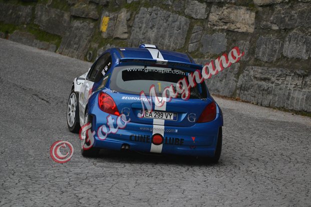 DSC_4465.jpg